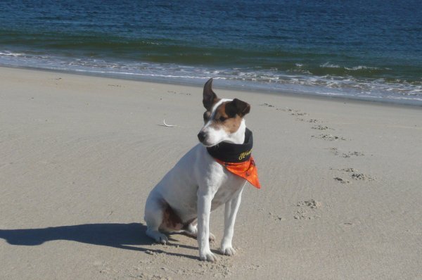 running on the new jersey shore
